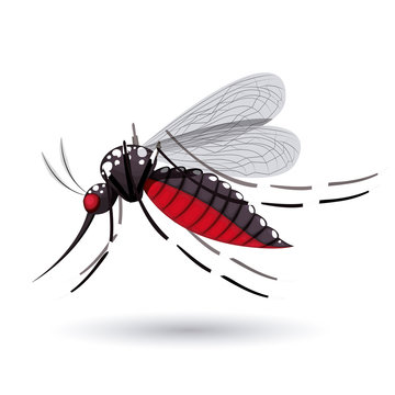 infectious gnat  design 