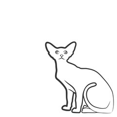 Sketch of domestic cat.