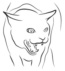 Sketch of angry cat. 
