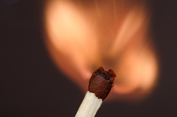 burning match / match in the initial moment of ignition