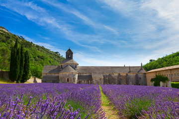 Fototapeta na wymiar Abbey Senanque and Lavender field, France
