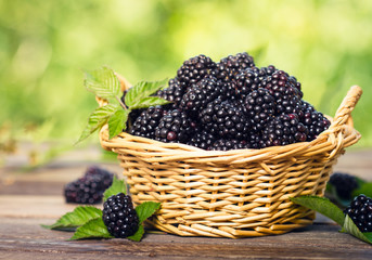 Fresh organic blackberries in the basket