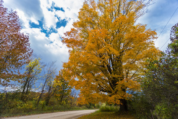 the view down a scenic country roadway in autumn landscape