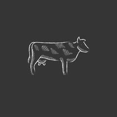 Cow. Drawn in chalk icon.