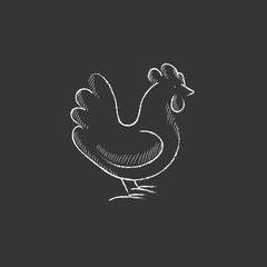 Hen. Drawn in chalk icon.