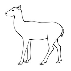 Deer animal black white isolated illustration vector 