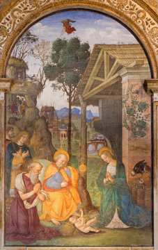 Rome - The fresco Nativity with the St. Jerome by Bernardino Pinturicchio (1488 - 1490) in Rovere chapel in church Basilica di Santa Maria del Popolo.