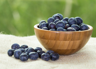 Blueberries in a bowl