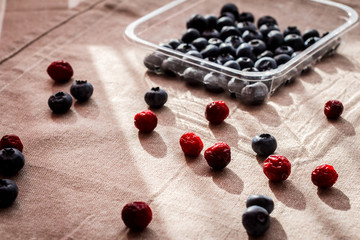Fresh blueberries and dried cranberries in sunlight
