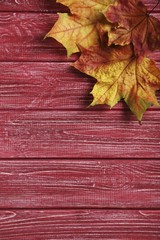 Naklejka na ściany i meble Autumn leafs on a red wooden table