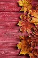 Naklejka na ściany i meble Autumn leafs on a red wooden table