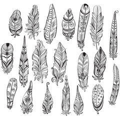 Set of ethnic feathers in native style