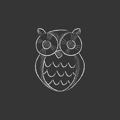 Owl. Drawn in chalk icon.