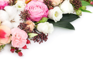 Elegant flowers on white background
