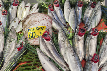 Fresh fish and seafood arrangement displayed on the market