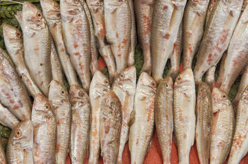 Fresh fish and seafood arrangement displayed on the market