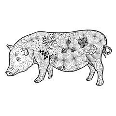 Pig doodle
