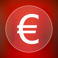 Euro icon