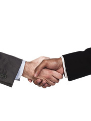 business colleagues shaking hands over success.