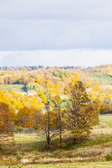 scenic view of rural countryside