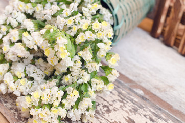 White statice flowers decoration on wood table with selective fo