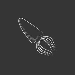 Squid. Drawn in chalk icon.