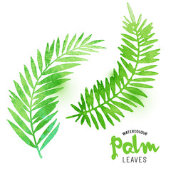Watercolour Palm Leaves. Vector watercolour effect palm leaves. Vector illustration.