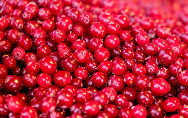 Frozen cranberries