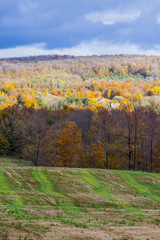 Naklejka premium scenic view of rural countryside