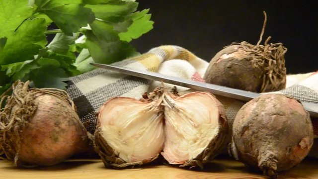 Leopoldia comosa Modřenec chocholat&yacute; Lampagione Jacinto comoso Tassel hyacinth Szafirek miękkolistnyГадючий лук хохлатый  Lampascione grape Kuifhyacint بلبوس وبري  Schopfige Traubenhyazinthe
