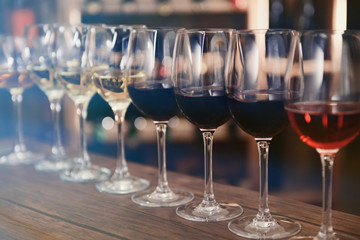 Many glasses of different wine in a row on bar counter