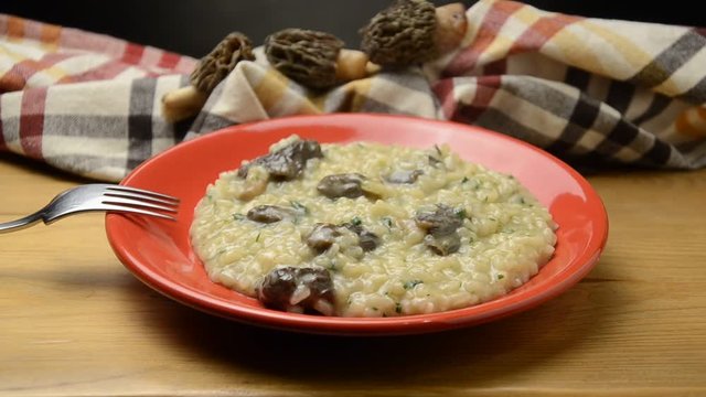 Morchella Smrčak Morel Morcheln Morielje Colmenillas غوشنة Сморчок Cagarrias גמצוץ 羊肚菌 アミガサタケ属 Morillas Zb&acirc;rciog Smrž M&uacute;rgoles Spugnola &Iacute;zletes kucsmagomba Morchelle Spugnole