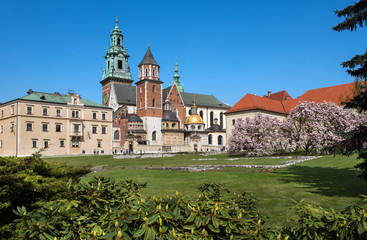 View on the cathedral on Wawel Hill in Krakow in Poland