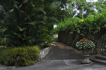 Obraz premium beautiful tropical park