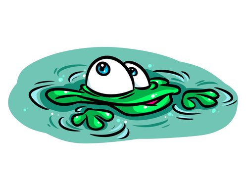 Frog swamp cartoon illustration  animal character