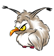 Owl angry bird cartoon illustration  image character