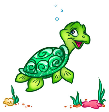 Sea turtle animal character  cartoon illustration
