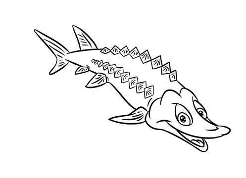 cartoon sturgeon smiling black and white clip art preview