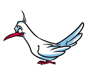 Bird amaze cartoon illustration  isolated image character  animal