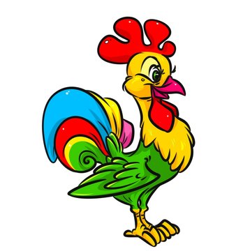 Bright rooster cartoon illustration  isolated image