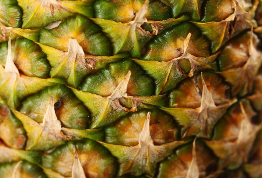 Pineapple background, closeup
