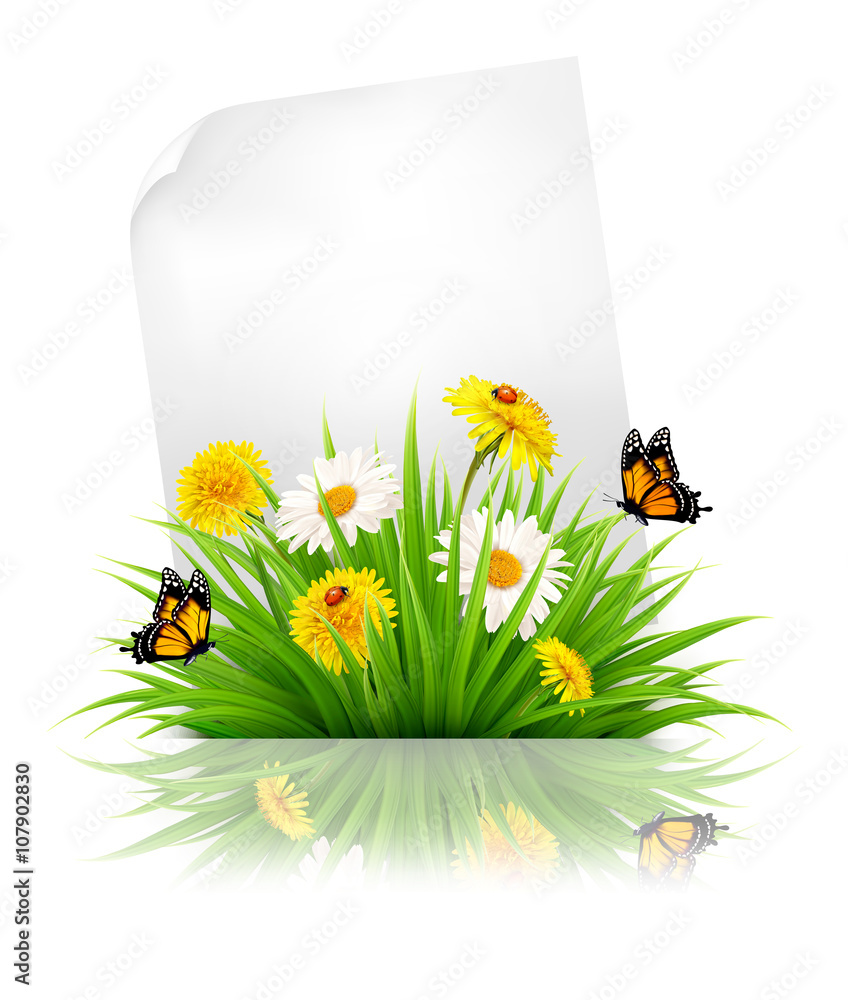 Aufkleber sheet of paper with grass and spring flowers. vector.