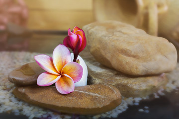Fototapeta na wymiar Sweet pink yellow flower plumeria or frangipani on water and peb