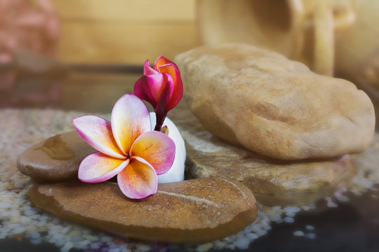 Sweet pink yellow flower plumeria or frangipani on water and peb