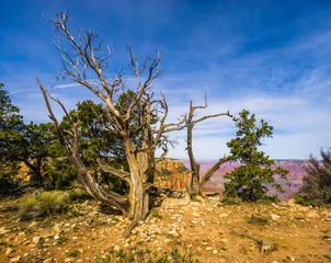 Amazing view of the grand canyon national park, Arizona. It is one of the most remarkable natural wonders in the world. 