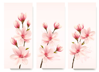 Fototapeta premium Set of nature flower magnolia banners. Vector.