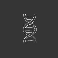 DNA. Drawn in chalk icon.
