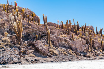 Incahuasi Island