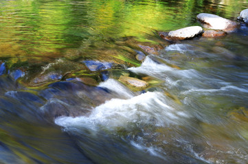 flowing water in brook reflecting green color