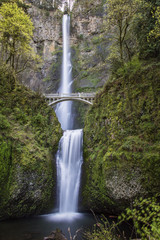 Fototapeta premium Multnomah Falls in Oregon 